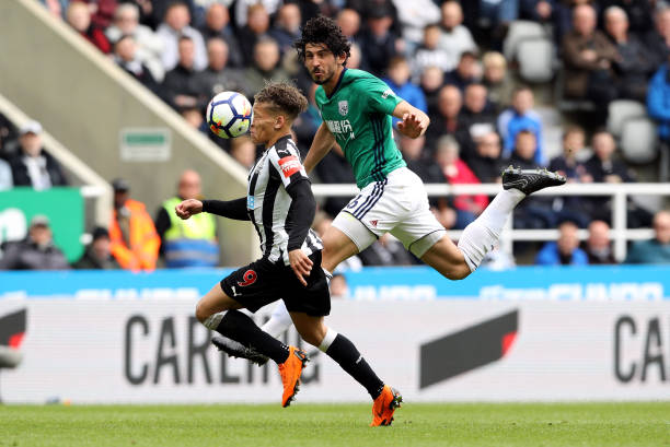 队合作与忠 队合作与忠